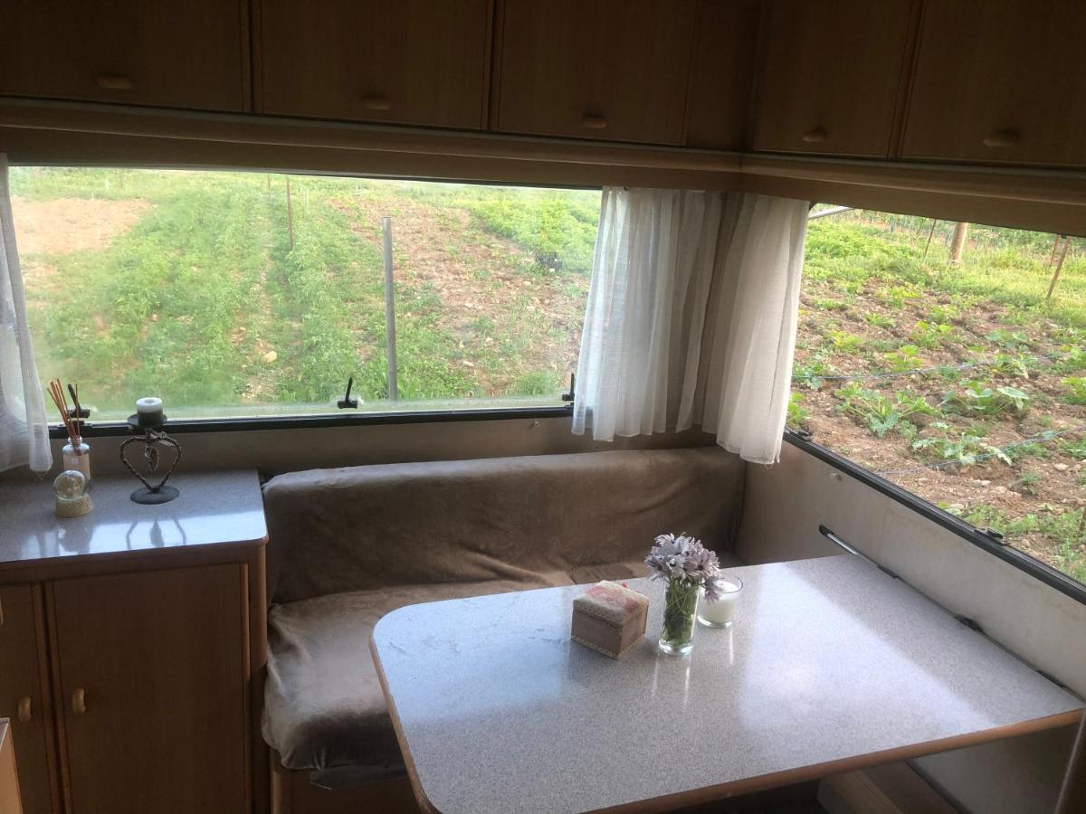 Hotel La Ferme De Rotani Aleria  Esterno foto