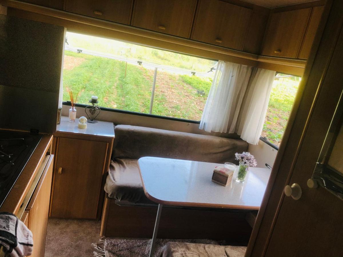 Hotel La Ferme De Rotani Aleria  Esterno foto